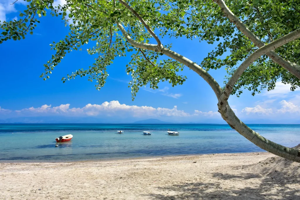 eurohire corfu rent a car 8